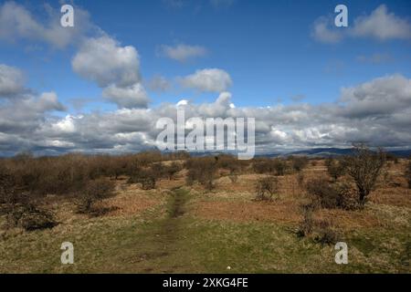 Das Gipfelplateau Hutton Roof Crags bei Burton in Kendal Westmorland und Furness England Stockfoto