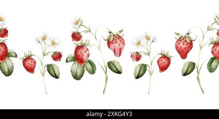 Erdbeere mit Blüten und Blättern am Stiel, Aquarell isolierte Illustration. Nahtloser Rand mit Beerenfrüchten mit Blüte für Tischtextilien, po Stockfoto