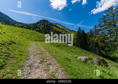 Bergtour über die Brunnenauscharte zum Hochgrat auf der Nagelfluhkette im Allgau Stockfoto