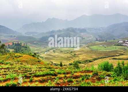 Malerische Aussicht auf Reisterrassen im Hochland, Sa Pa, Vietnam Stockfoto
