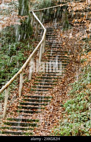 Treppen im Wald in einer Schneeschauer, Deutschland Stockfoto