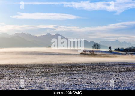 Erdnebel über einer schneebedeckten Landschaft im Wintersonnenlicht vor den Alpen, Deutschland, Bayern, Chiemgauer Alpen Stockfoto