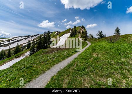 Bergtour über die Brunnenauscharte zum Hochgrat auf der Nagelfluhkette im Allgau Stockfoto