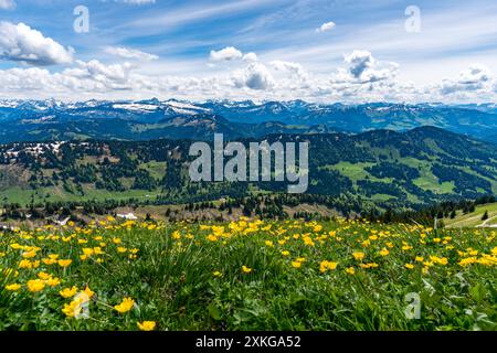 Bergtour über die Brunnenauscharte zum Hochgrat auf der Nagelfluhkette im Allgau Stockfoto