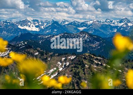 Bergtour über die Brunnenauscharte zum Hochgrat auf der Nagelfluhkette im Allgau Stockfoto