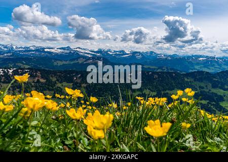 Bergtour über die Brunnenauscharte zum Hochgrat auf der Nagelfluhkette im Allgau Stockfoto