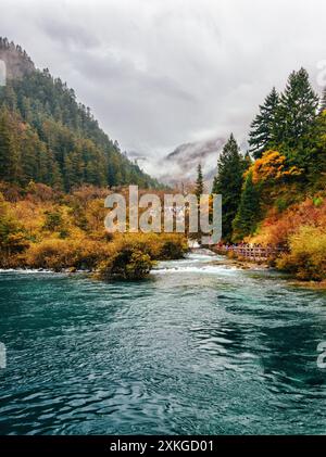 Fantastischer Blick auf den glitzernden See, Jiuzhaigou Naturschutzgebiet Stockfoto