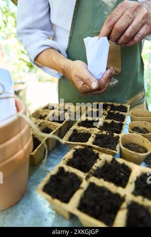 Gärtner pflanzt Samen in biologisch abbaubaren Töpfen, bereitet sich auf den Hausgarten vor. Nahaufnahme von Händen, Boden und Setzlingen. Stockfoto