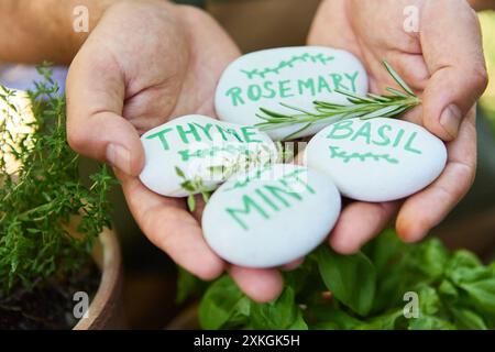 Nahaufnahme der Hände mit markierten Steinen für Kräuter wie Rosmarin, Thymian, Basilikum und Minze, die Gartenarbeit und Kräuteranbau symbolisieren. Stockfoto