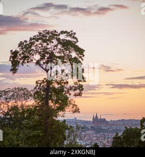 Blick auf den Sonnenuntergang der Prager Stadtlandschaft im Sommer vom Riegrovy Sady Park im Vinohrady-Viertel in Prag, Hauptstadt der Tschechischen Republik am 22. Juli 2024 Stockfoto