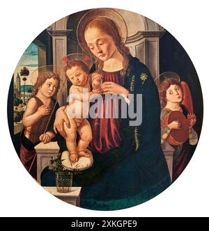 Madonna Col Bambino con S. Giovannino e un angelo musicante - tempera su tavola - Biagio di Antonio Tucci - Fine del XV secolo - Venezia, Galleria GI Stockfoto