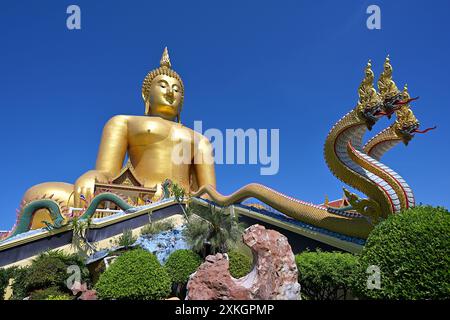 Blick auf das gigantische Bild des Phra Buddha Maha Nawamin im Wat Muang in der Provinz Ang Thong von seiner Basis aus, flankiert von schützenden Naga-Skulpturen Stockfoto