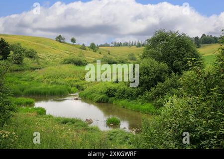 Der Fluss Uskelanjoki fließt an einem wunderschönen Julitag durch die ländliche Landschaft in Illinkoski Rapids, Pertteli, Salo, Finnland. Stockfoto