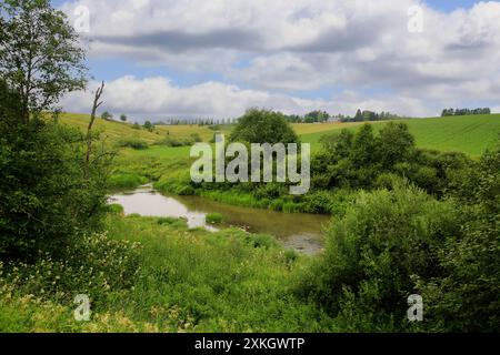 Der Fluss Uskelanjoki fließt an einem wunderschönen Julitag durch die üppige ländliche Landschaft in Illinkoski Rapids, Pertteli, Salo, Finnland. Stockfoto