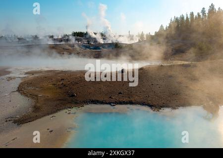 Norris Geyser Basin im Sommer, Yellowstone-Nationalpark, Wyoming, USA. Stockfoto