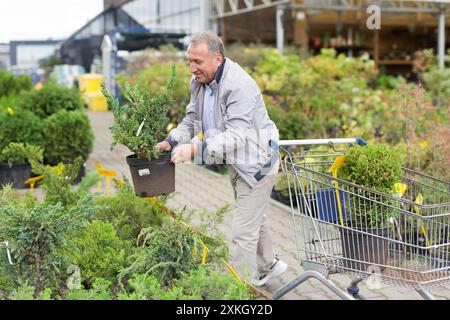 Kaukasischer Mann, der Sprossen im Gartencenter auswählt Stockfoto