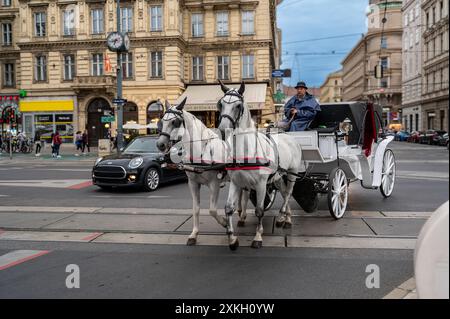 Wien, Österreich, 21. August 2022. Tagesaufnahme einer Pferdekutsche im Stadtzentrum: Ein Sprung in die Vergangenheit. Stockfoto