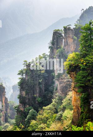 Fantastischer Blick auf Bäume, die auf steilen Klippen wachsen (Avatar Rocks) Stockfoto
