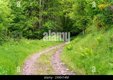 Landschaft rund um Saulxures, eine Gemeinde im Departement Unterrhein in Grand Est im Nordosten Frankreichs Stockfoto
