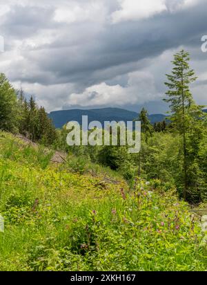 Landschaft rund um Saulxures, eine Gemeinde im Departement Unterrhein in Grand Est im Nordosten Frankreichs Stockfoto