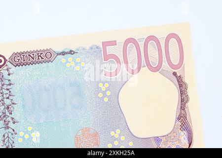 Die Nippon-Ginko-Nationalbank wird 2024 eine neue Banknote mit einem Barwert von 5000 Yen in der Rückansicht ausgeben Stockfoto