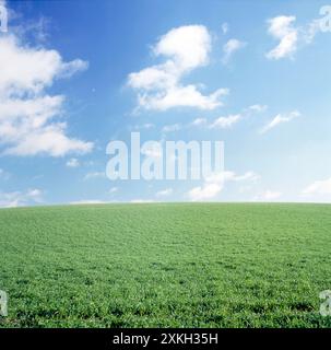 Landschaftlich Reizvoll. Querformat. Ländliche Landschaft mit Gras bewachsener Hügel. Stockfoto