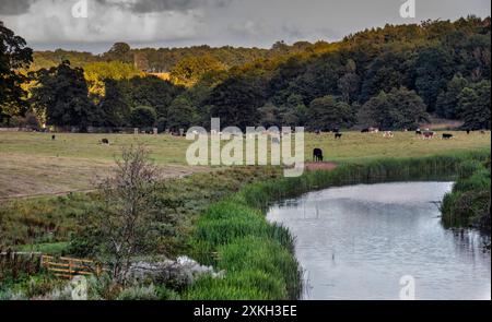 Alnwick Castle ist ein Schloss und Landhaus in Alnwick in der englischen Grafschaft Northumberland. Stockfoto