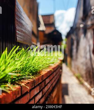 Landschaftlich schönes grünes Gras neben der Hauswand in einer engen Straße Stockfoto