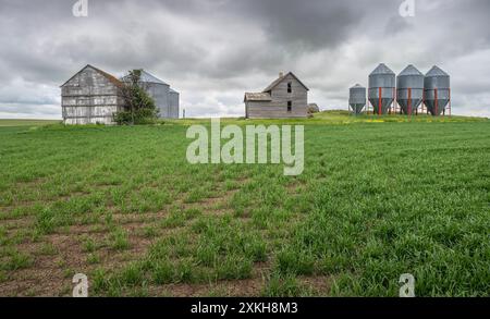 Grain Bins und Old Deponized House am Horizont in der Nähe des Dorfes Eston, Saskatchewan, Kanada Stockfoto