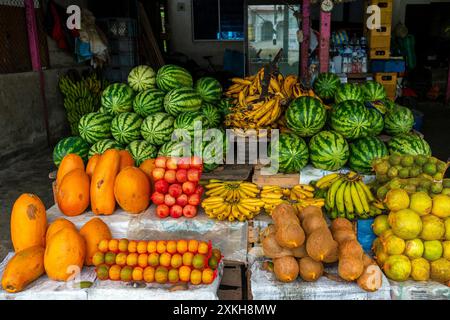 Obstmarkt in Ecuador mit Kokos, Wassermelone, Apfel, Banane, Zitrone, Papaya und Gelb-Orange. Stockfoto