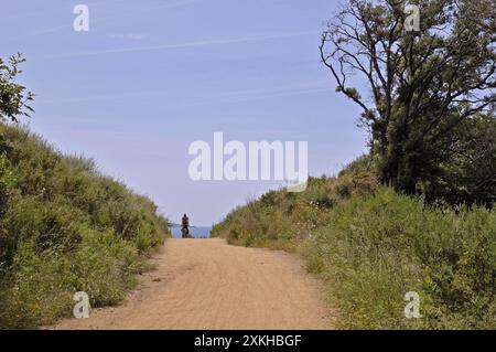 Radfahrer auf einem Radweg im Naturschutzgebiet Bandite di Scarlino, Maremma, Toskana, Italien Stockfoto