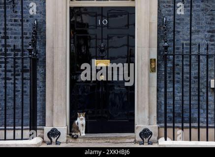 London, Großbritannien. Juli 2024. Larry the Cat in Downing Street Credit: Mark Thomas/Alamy Live News Stockfoto