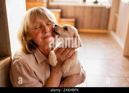 Eine reife Frau in lässiger Kleidung umarmt einen Welpen zu Hause. Ein Haustier leckt sein Gesicht. Ein Rentner kümmert sich um einen kleinen Golden Retriever. Ein mittlerer Alter Stockfoto