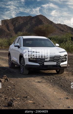 Der Jetour Dashing ist ein eleganter, moderner SUV, der modernste Technologie mit erstklassigem Komfort kombiniert. Stockfoto
