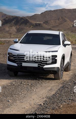 Der Jetour Dashing ist ein eleganter, moderner SUV, der modernste Technologie mit erstklassigem Komfort kombiniert. Stockfoto
