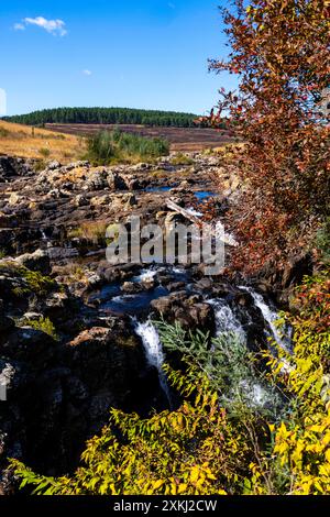 Blick auf die Lissabonner Wasserfälle entlang Südafrikas Panoramastraße in den Drakensberg Mountains. Stockfoto