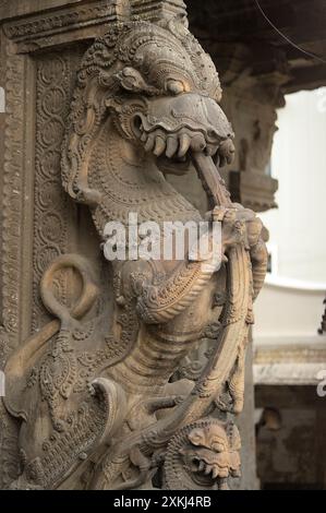 Wunderschöner alter hinduistischer Gott Yaali in die Säule des Tempels in Indien gehauen Stockfoto