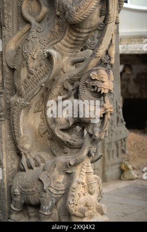Wunderschöner alter hinduistischer Gott Yaali in die Säule des Tempels in Indien gehauen Stockfoto