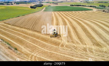 Eine Luftaufnahme eines Mähdreschers, der auf einem riesigen Weizenfeld in Oteiza, Navarra, Spanien arbeitet. Die Maschine befindet sich in der Mitte des Feldes. Stockfoto