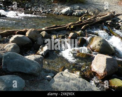 Umgefallener Baumstamm, der als Brücke dient, um den Wasserstrom zu überqueren Stockfoto