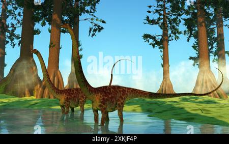 Diplodocus war ein Sauropoden pflanzenfressende Dinosaurier, die in Nordamerika während der Kreidezeit lebten. Stockfoto