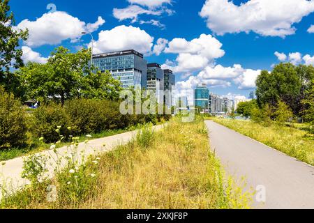 Sonnenblumen- und Wildblumenwiesen zwischen Fußgänger- und Radweg in einer Stadt (Park Pięciu Sióstr, Warschau, Polen) Stockfoto