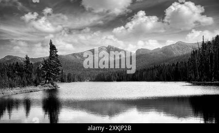 Der Sylvan Lake wurde als „ein kleiner, aber äußerst schöner Wasserbelag“ in der Nähe des Sylvan Pass im Yellowstone-Nationalpark in Wyoming beschrieben. Stockfoto