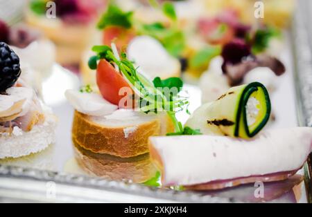 Nahaufnahme einer Vielzahl von Häppchen mit Gemüse, Fleisch und Kräutern auf einem reflektierenden Tablett. Horizontales Foto. Stockfoto