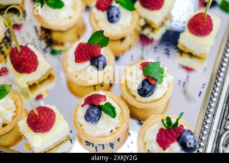 Nahaufnahme verschiedener Beerendesserts mit Himbeeren, Heidelbeeren und Minzblättern, ordentlich auf einem Tablett angeordnet. Horizontale Aufnahme. Stockfoto