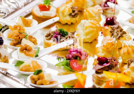 Eine elegante Präsentation von Vorspeisen auf einem silbernen Tablett mit verschiedenen kleinen Vorspeisen wie Käse, Walnüsse, Fleisch, Gemüse und Sere Stockfoto