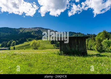 Bergtour über die Brunnenauscharte zum Hochgrat auf der Nagelfluhkette im Allgau Stockfoto