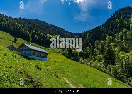 Bergtour über die Brunnenauscharte zum Hochgrat auf der Nagelfluhkette im Allgau Stockfoto