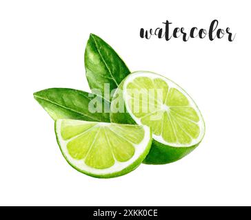 Frische Limettenscheiben mit grünen Blättern, ideal für kulinarische, botanische oder biologische Designs Stockfoto