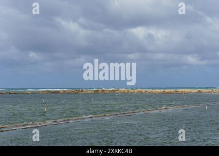 Naturschutzgebiet Saline di Trapani mit Salzfeldern an einem bewölkten Morgen, Contrada Nubia, Sizilien, Italien Stockfoto